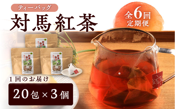 【全6回定期便】【2ヶ月に1回お届け】対馬 紅茶 ティーバッグ 20包入×3個《対馬市》【つしま大石農園】お茶 ティー べにふうき茶葉 フルーティー [WBE008]