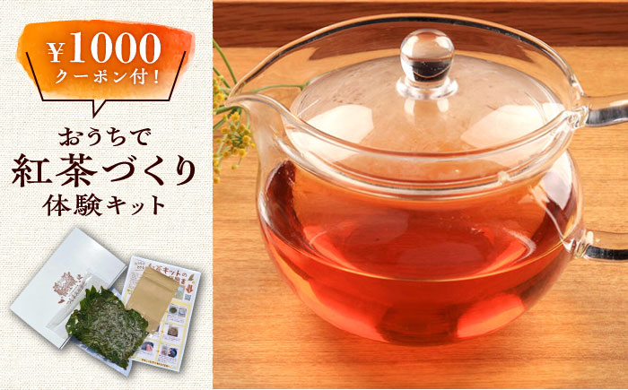 おうちで 紅茶 づくり 体験キット（Webショップで使えるクーポン付）《対馬市》【つしま大石農園】 国産 ティー [WBE010]