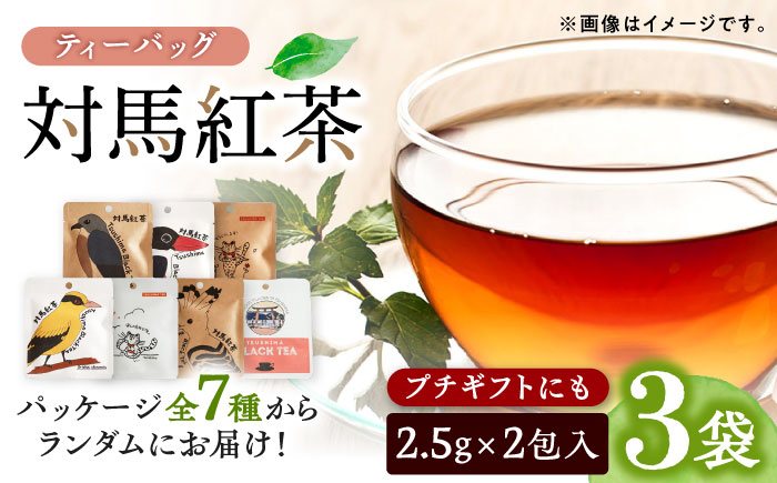 【12/21入金分まで年内発送】対馬紅茶2包入り 3個セット 《対馬市》 【つしま大石農園】 長崎 対馬 ティー お茶 飲料 [WBE016]