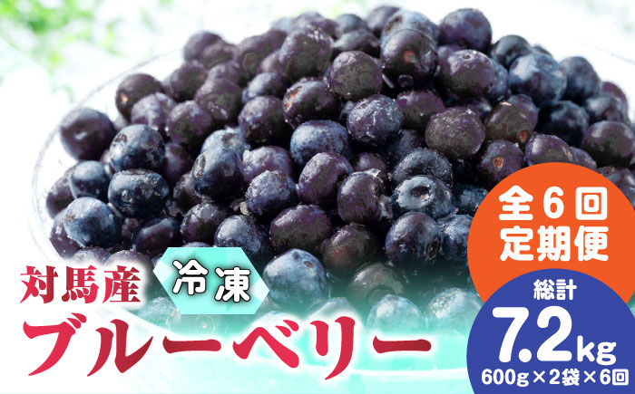【全6回定期便】 大容量 対馬産 ブルーベリー （ 冷凍 ） 1.2kg 【 さほの里ファーム 】《 対馬市 》 離島 対馬 有機肥料 旬 果物 フルーツ [WBG003]