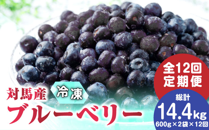 【全12回定期便】 大容量 対馬産 ブルーベリー （ 冷凍 ） 1.2kg 【 さほの里ファーム 】《 対馬市 》 離島 対馬 有機肥料 旬 果物 フルーツ [WBG004]