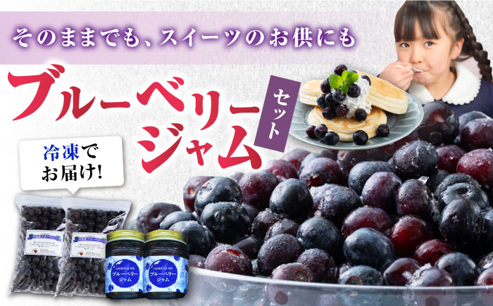 対馬産 ブル－ベリ－ ＆ ジャム セット《対馬市》【さほの里ファーム】 ブルーベリー フルーツ 詰め合わせ 朝食 新鮮 果実 ギフト [WBG007]