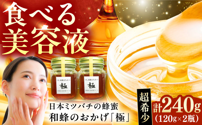 和蜂のおかげ「極」 240g 【さほの里ファーム】 《対馬市》 [WBG009]