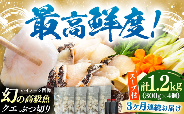 【全3回定期便】対馬産 クエ ぶつ切り 1.2kg 鍋用スープ付《対馬市》【島本水産】高級魚 新鮮 肉厚 本格的 海鮮 鍋セット フライ 煮付け アラ [WBI019]