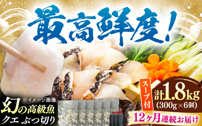 【全12回定期便】対馬産 クエ ぶつ切り 1.8kg 鍋用スープ付《対馬市》【島本水産】高級魚 新鮮 肉厚 本格的 海鮮 鍋セット フライ 煮付け アラ [WBI029]