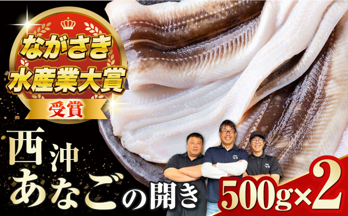 対馬産 天然あなごの開き500g×2《対馬市》【すし処慎一】国産 肉厚 穴子 アナゴ 新鮮 冷凍 白焼き 天ぷら   [WCO002]