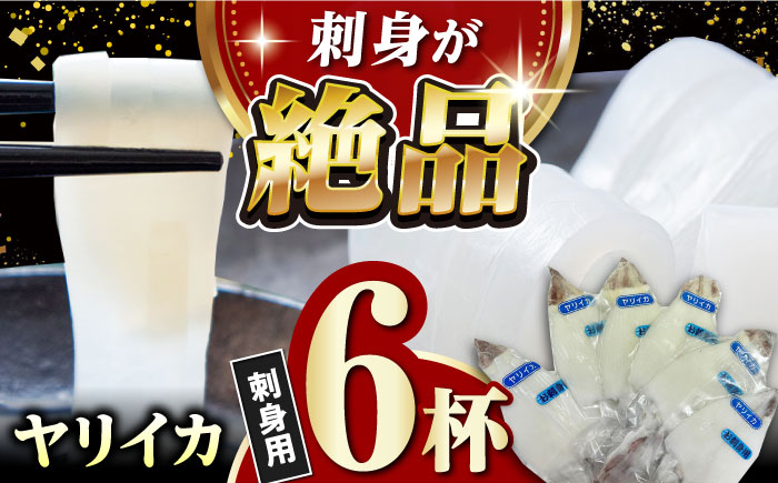 対馬産 ヤリイカ 刺身用 6杯《対馬市》【対馬新鮮組】 冷凍配送 小分け いか 新鮮 海鮮 冷凍配送  [WCS003]