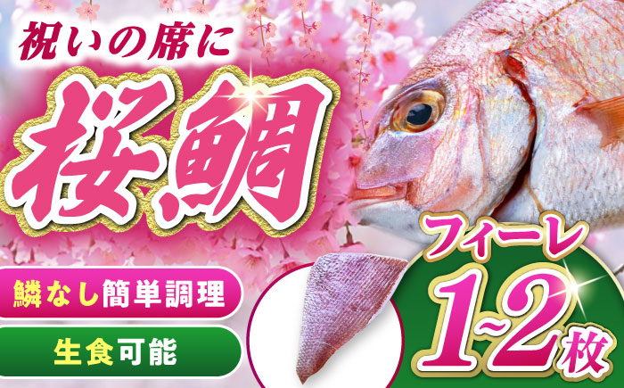 天然 桜鯛 フィーレ 500g 程度 《対馬市》【対馬新鮮組】 下処理済 鯛 真鯛 サクラダイ 新鮮 お祝い 冷凍配送 産地直送 [WCS013]