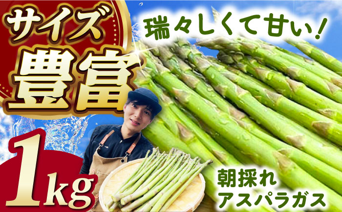 【3月中旬以降順次発送】朝採れアスパラガス１kg  《対馬市》【農家くんのアスパラファーム】  冷蔵 アスパラ とれたて 新鮮 野菜 産地直送  [WCT001]