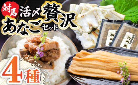 対馬産あなご贅沢セット [WAC002]