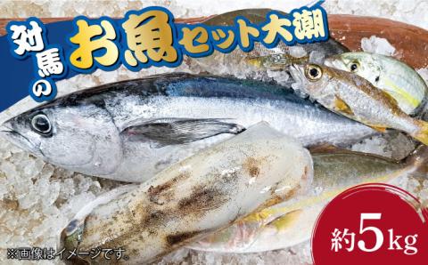 対馬 のお 魚 (大潮) 5kg [対馬市][ゆうなぎ対馬]鮮魚 新鮮 海鮮 イカ サザエ ヒラマサ ブリ 真鯛 クエ 冷蔵 