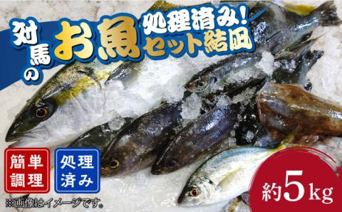 対馬 のお 魚 (結凪ユウナギ) 5kg[対馬市][ゆうなぎ対馬]処理済み 鮮魚 新鮮 海鮮 イカ サザエ ヒラマサ ブリ 真鯛 クエ 冷蔵 