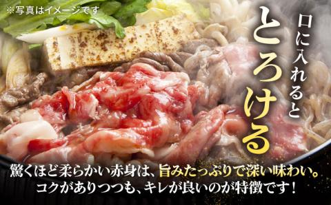 特選 壱岐牛 切り落とし （450g）【太陽商事】[JDL001] 肉 牛肉 和牛 黒毛和牛 焼肉 小間切れ 赤身 切落し 13000 13000円
