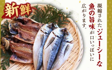 壱岐島 干物・海産物セット（いかうに付）【皐月】 《壱岐市》【汐彩屋】[JCT002] 15000 15000円 干物 ひもの 朝食 みりん干し アジ 鯵 アジの開き 開き 丸干し