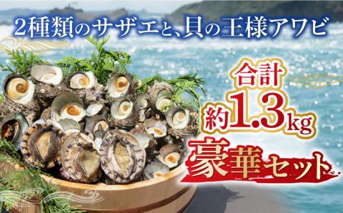 アワビ サザエ 計1.3kg セット 《壱岐市》【マルショウ水産】[JBB001] 38000 38000円