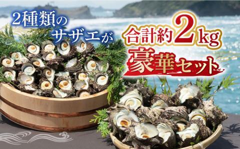 サザエ 2kg セット 《壱岐市》【マルショウ水産】[JBB002] 25000 25000円