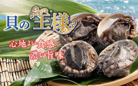 アワビ あわび 500g（100-200g/個）壱岐市 【マルショウ水産】 [JBB003] 46000 46000円