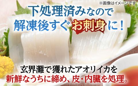 アオリイカ 700g前後 《壱岐市》【ヤマグチ】[JCG018] いか あおりいか 16000 16000円