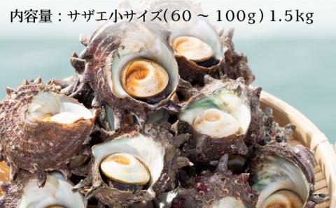サザエ さざえ 約1.5kg Bサイズ(60g～100g/個) 壱岐市 【マルショウ水産】 [JBB005] 17000 17000円