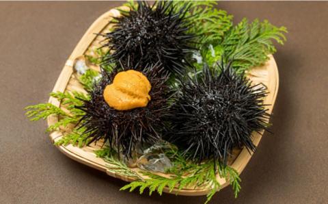 焼売 壱岐産 いかしゅうまい 3種セット 3箱 計22個 【 うに ・あおさ・ いか 】《壱岐市》【大幸物産株式会社】ウニ イカ シュウマイ [JEH018]   20000 20000円 2万円