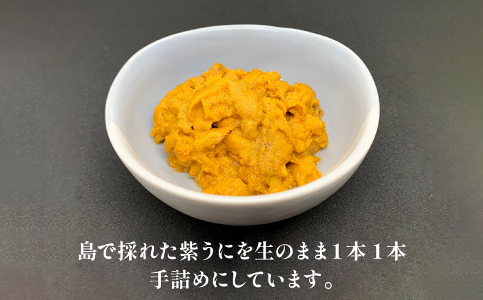 吉田のおもてなしセット 《壱岐市》【吉田商店】 生うに 干物 イカの塩辛 あおさ  [JAK005] 51000 51000円