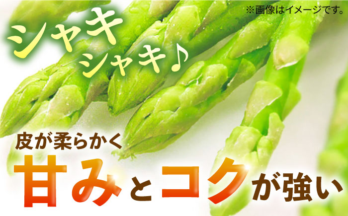 【先行予約】野菜 アスパラガス 壱岐産 1kg（L~2Lサイズ）【2026年3月以降順次発送】《壱岐市》【壱岐市農業協同組合】[JBO004] アスパラ 14000 14000円