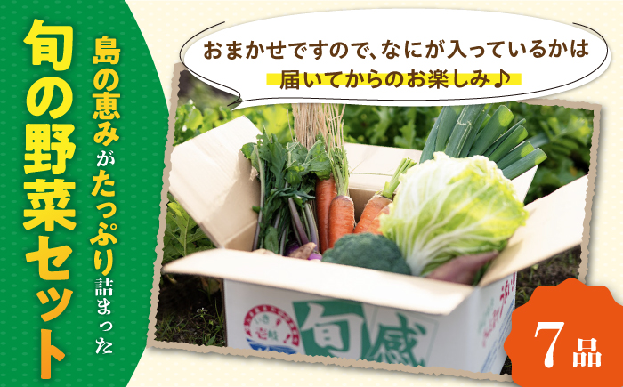 【全3回定期便】旬の野菜セット 7品 [JBO044] 野菜 やさい 旬 セット 詰め合わせ 30000 30000円