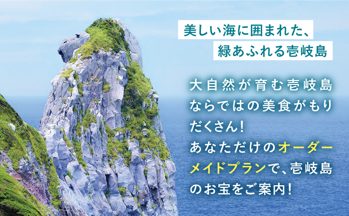 【壱岐市コンシェルジュ】返礼品おまかせ！寄附額50万円コース [JZY001] 500000 500000円 50万円 サービス
