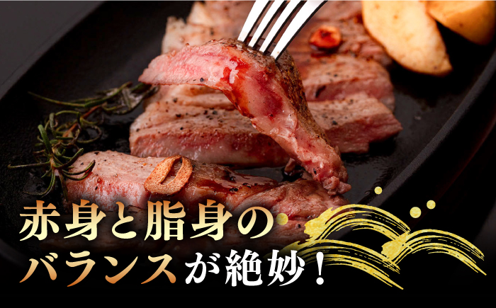 【全2回定期便】A4ランク A5ランク 壱岐牛 サーロインステーキ 200g×3枚 《壱岐市》【壱岐市ふるさと商社】 72000 72000円 7万円 [JAA034]