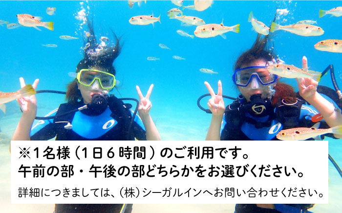 ダイビング  体験  錦浜 《壱岐市》【シーガルイン】[JAB002] 旅行 海 アウトドア ダイビング 33000 33000円