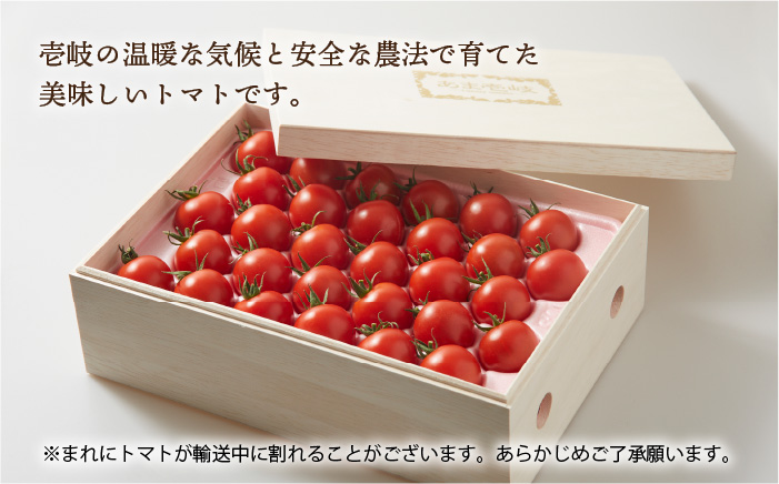 高級贈答用「あま壱岐」（桐箱大）ミディトマト 約2kg  60粒 《壱岐市》【壱岐の潮風】[JAE002]