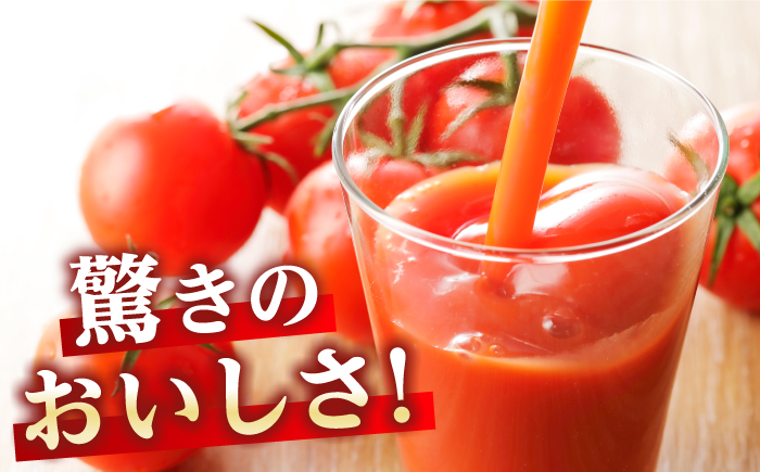 あま壱岐100％！トマトジュース 500ml×6本 《壱岐市》【壱岐の潮風】 トマト とまと 100% 無添加 野菜ジュース ソフトドリンク ギフト プレゼント 飲料 贈答 冷蔵配送 41000 41000円  [JAE011]