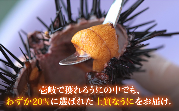 老舗の厳選 おさだの生うに 120g ( 60g × 2本 ) 《壱岐市》【長田商店】[JAO001]