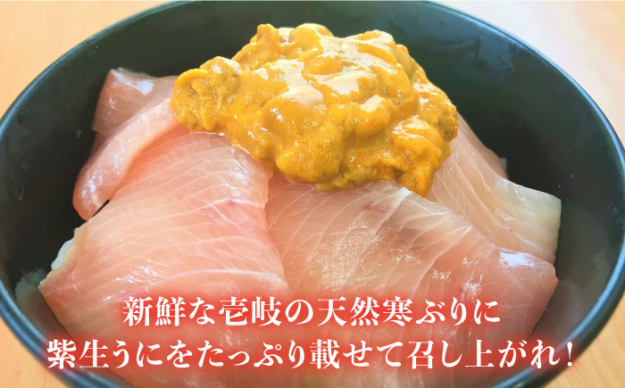 生うに 寒ぶり丼の素 セット・食べ比べ 老舗の厳選 おさだの生うに《壱岐市》【長田商店】[JAO014]
