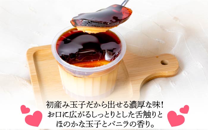 【年5回のみ生産】プリン たまご 卵 スイーツ デザート 110g × 6個 うっとり恋たまプリン《壱岐市》【しまのたまご屋さん】 [JAP012] 14000 14000円