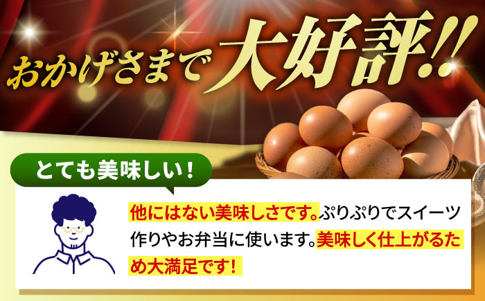 【全2回定期便】特選 素直な恋たまご 30個 《壱岐市》【しまのたまご屋さん】  卵 たまご 鶏卵 玉子 ギフト 国産 卵かけご飯 たまごかけご飯 のし 定期便 [JAP018]