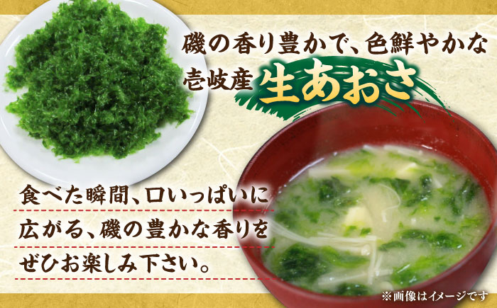 天然 生あおさ 3袋（60g/袋）《壱岐市》【馬渡水産】 あおさ アオサノリ あおさのり 海藻 味噌汁 海苔 青のり [JAQ003]
