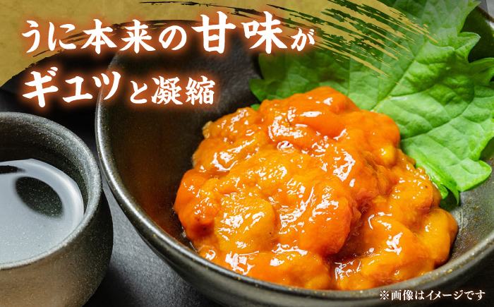 【先行予約】壱岐産 生うに 60g×1本【2026年5月以降順次発送】《壱岐市》【馬渡水産】 雲丹 ムラサキウニ 海鮮 希少 冷蔵配送 [JAQ005]