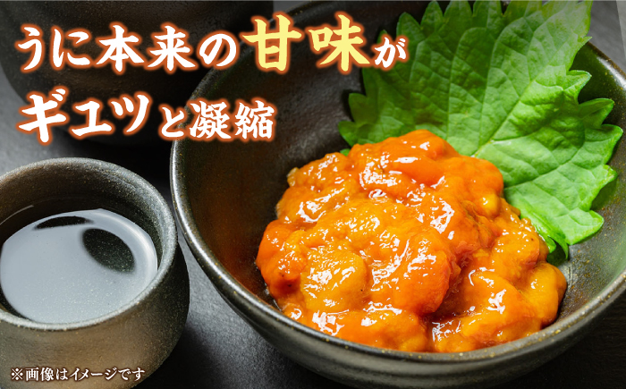 【年内発送】一汐うに 60ｇ×2本 ≪壱岐市≫【馬渡水産】 冷凍配送 雲丹 ご飯に合う 珍味 希少 お取り寄せ ウニ [JAQ014]