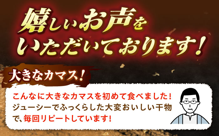 特大アカカマスの開き 干物 1.2kg以上 6～7匹 [JAQ026]