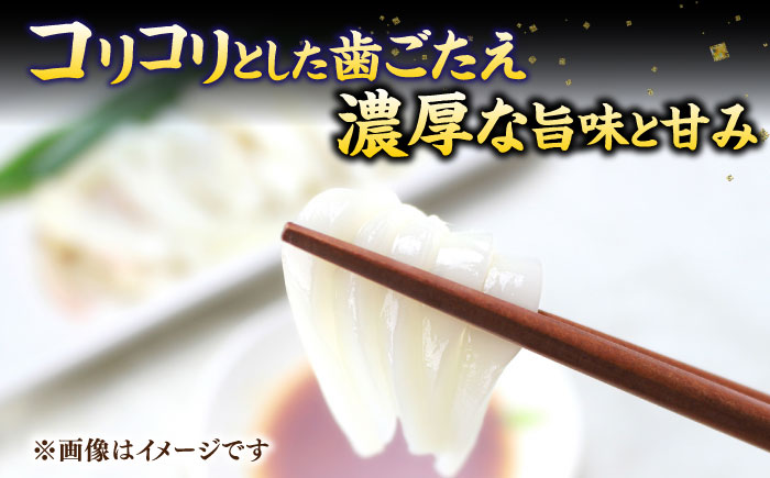 【年内発送】旬のイカ刺身1kg前後《壱岐市》【馬渡水産】イカ いか 烏賊 剣先 アオリ あおり スルメ するめ  海鮮 魚貝 冷凍配送 産地直送 [JAQ027]