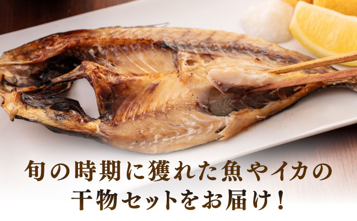 旬の干し物6種類（2人用）セット《壱岐市》【馬渡水産】あじ アジ 鯵 いわし イワシ 鰯 いか イカ 烏賊 たい タイ 鯛 干物 ひもの 干物セット 冷凍配送 [JAQ028]