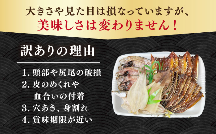 【訳あり】大量干し物セット 15～18枚《壱岐市》【馬渡水産】訳あり 訳アリ あじ アジ いわし イワシ かます カマス いか イカ さば サバ 鯵 鰯 鯖 干物 ひもの 干物セット 冷凍配送 [JAQ035]