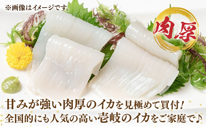 刺身用 剣先イカ 約2kg（急速冷凍）《壱岐市》【魚助】 イカ いか 剣先いか ケンサキイカ刺し身  鮮魚 海鮮 [JFX001]