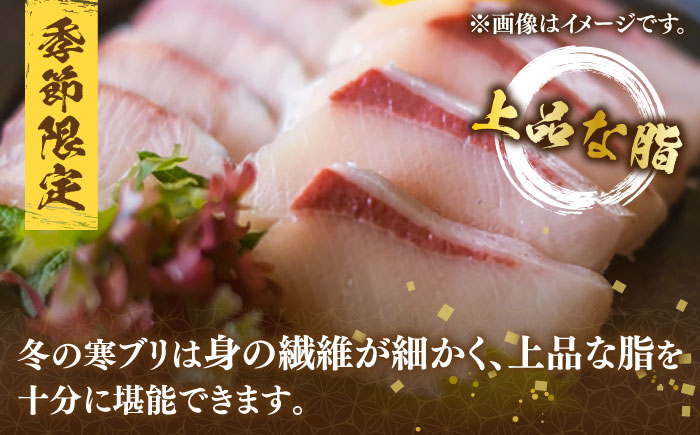 【7～10kg台】 寒ブリ 3枚おろし《壱岐市》【魚助】 刺身 お刺身 刺し身 フィレ 海鮮 海産物 [JFX002]