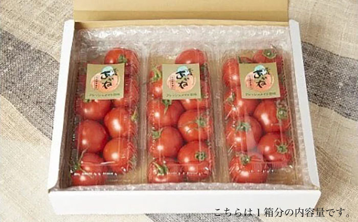 トマト 壱岐あかね  3箱(5個-10個×9パック) 《壱岐市》【フレッシュメイト壱岐】[JAZ003]  野菜 農産物 天然酵母 完熟 22000 22000円