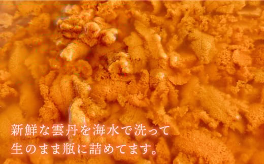 壱岐の海ごはん 生うに 60g（1本入り） 《壱岐市》【メイリ・キッチン】雲丹 ウニ [JBD006] 15000 15000円