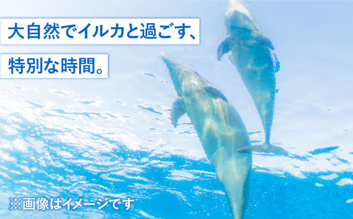 1日イルカトレーナー体験 《壱岐市》【壱岐イルカパーク＆リゾート】[JBF002] 50000 50000円 5万円