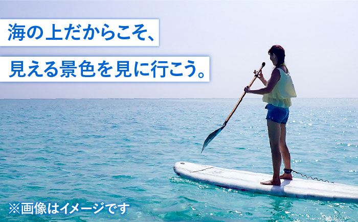 SUP体験 《壱岐市》【壱岐イルカパーク＆リゾート】[JBF008] 22000 22000円