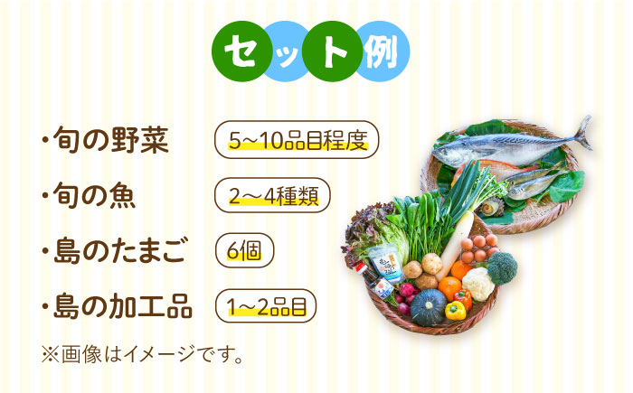壱岐産 食材詰め合わせ 野菜魚   《壱岐市》【壱岐イルカパーク＆リゾート】[JBF012] 42000 42000円